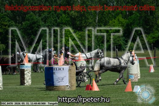 Mintakép 20260531-955