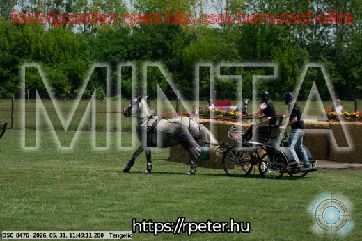 Mintakép 20260531-958