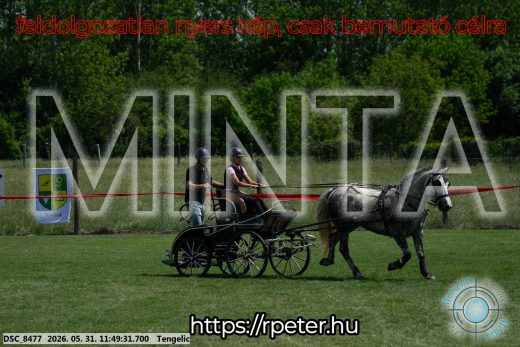 Mintakép 20260531-959