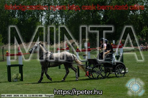 Mintakép 20260531-963