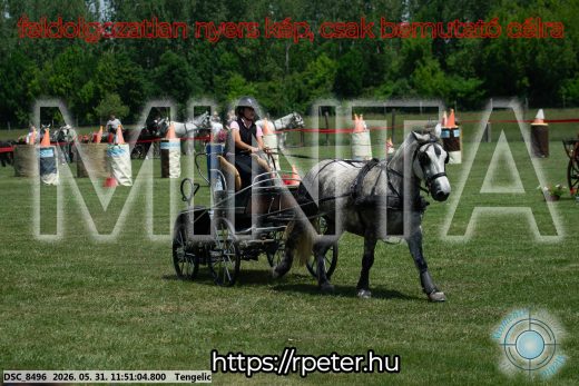 Mintakép 20260531-971