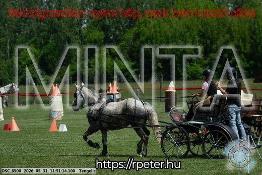 Mintakép 20260531-975