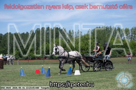 Mintakép 20260531-977