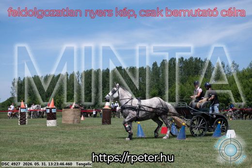 Mintakép 20260531-979