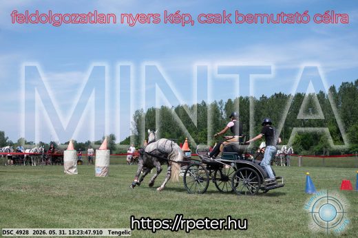 Mintakép 20260531-980