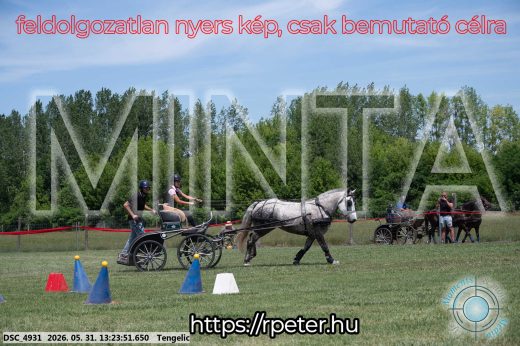 Mintakép 20260531-983