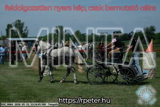 Mintakép 20260531-992