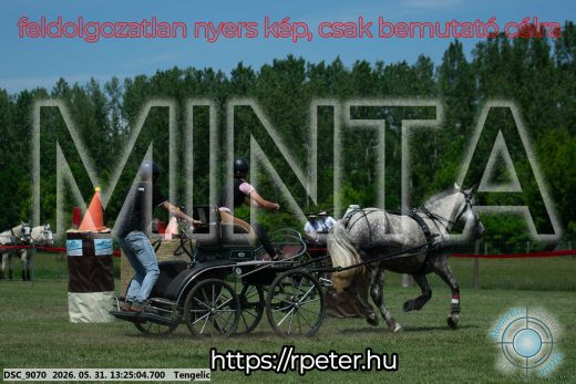 Mintakép 20260531-995