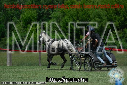 Mintakép 20260531-998