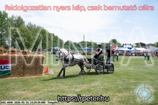 Mintakép 20260531-1007