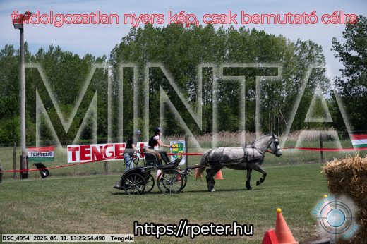 Mintakép 20260531-1013