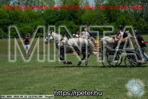 Mintakép 20260531-1019