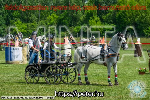 20260531-112926-DSC_8216.jpg