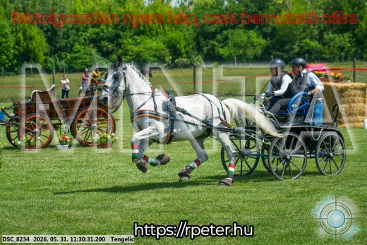 Mintakép 20260531-1037