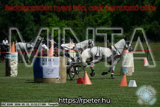 Mintakép 20260531-1042