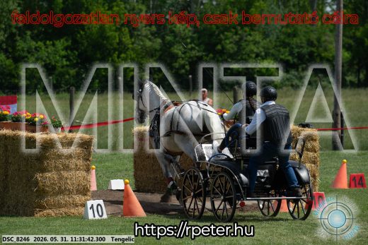 Mintakép 20260531-1048
