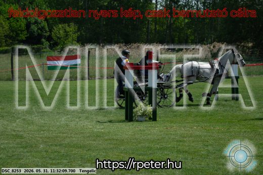 Mintakép 20260531-1054