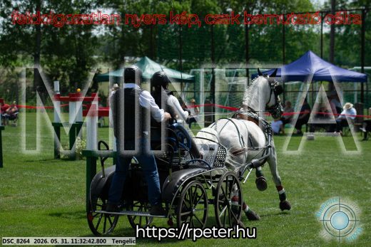 Mintakép 20260531-1063
