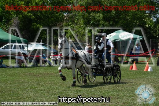 Mintakép 20260531-1065