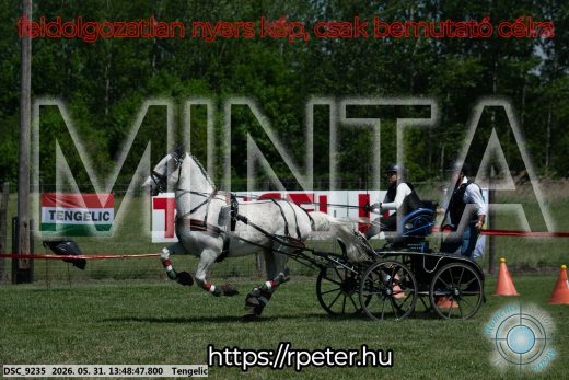 Mintakép 20260531-1071