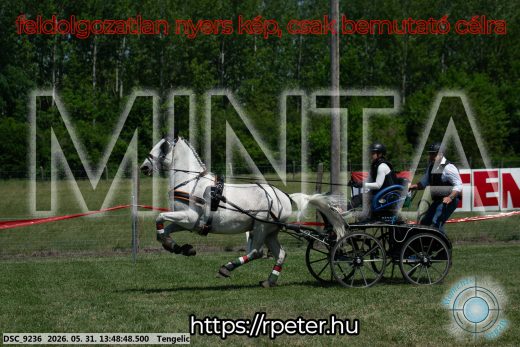 Mintakép 20260531-1072