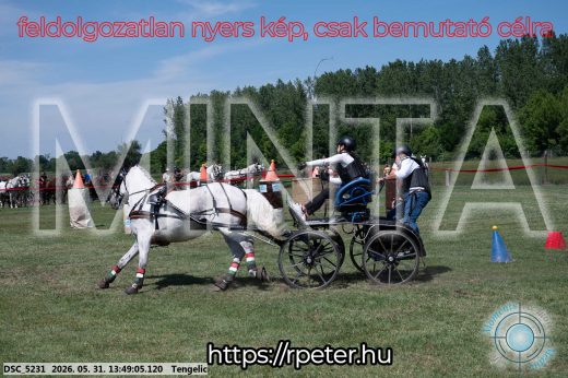 Mintakép 20260531-1073