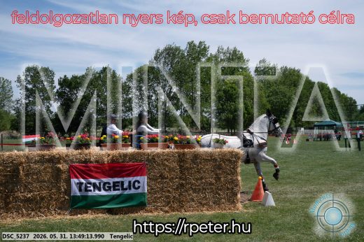 Mintakép 20260531-1078