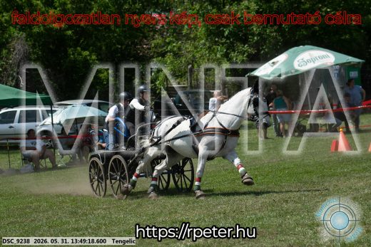Mintakép 20260531-1083
