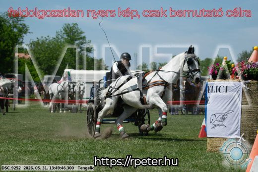 Mintakép 20260531-1085