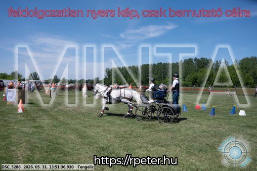 Mintakép 20260531-1099