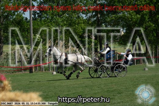 Mintakép 20260531-1105