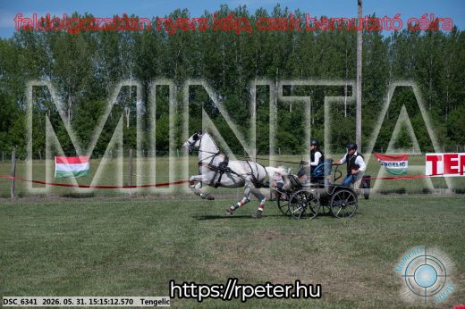 Mintakép 20260531-1106