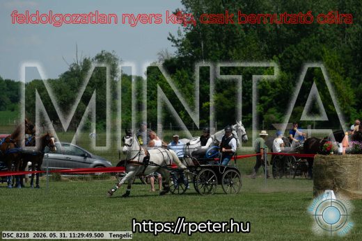 Mintakép 20260531-1115