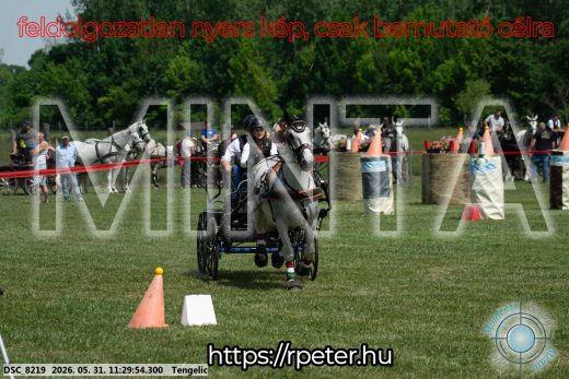 Mintakép 20260531-1116