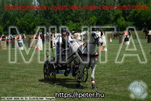 Mintakép 20260531-1117