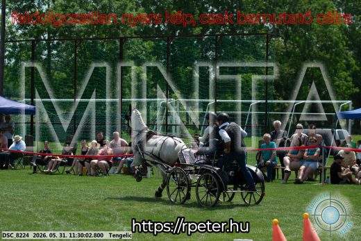 Mintakép 20260531-1121