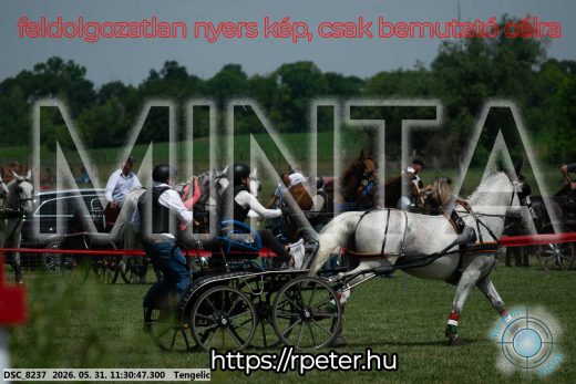 Mintakép 20260531-1129