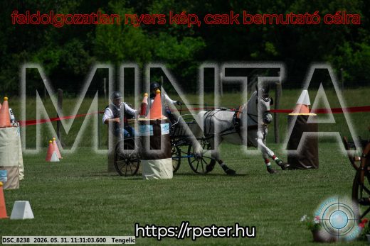 Mintakép 20260531-1130