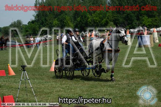Mintakép 20260531-1134