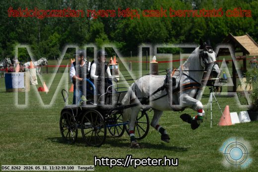 Mintakép 20260531-1151