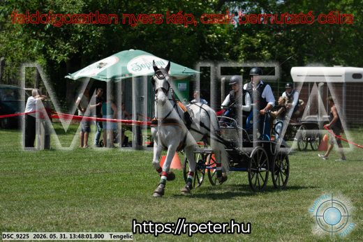 Mintakép 20260531-1154