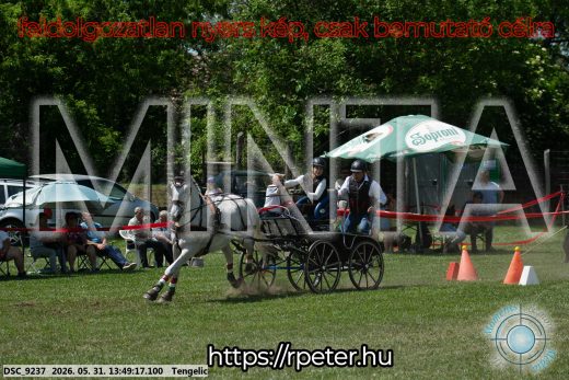 Mintakép 20260531-1171