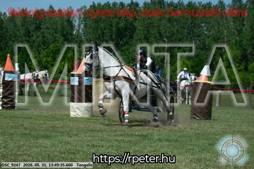Mintakép 20260531-1174