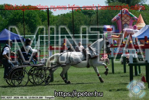 Mintakép 20260531-1178
