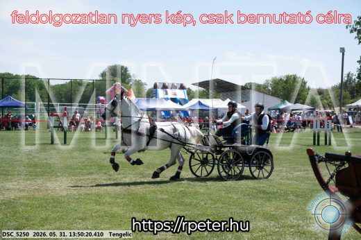 Mintakép 20260531-1179