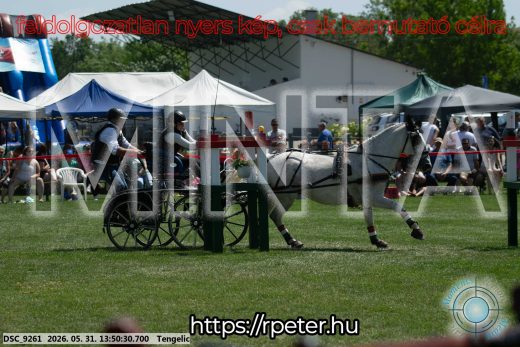 Mintakép 20260531-1181