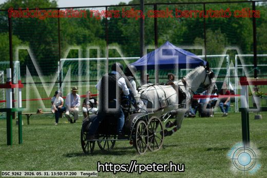 Mintakép 20260531-1182