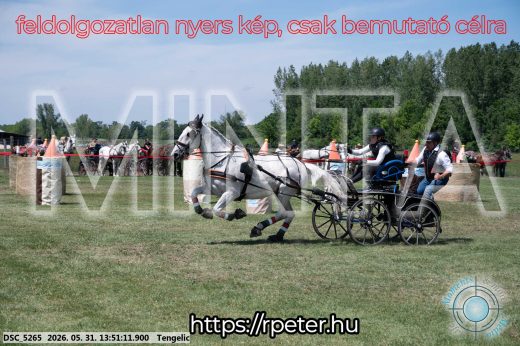 Mintakép 20260531-1184