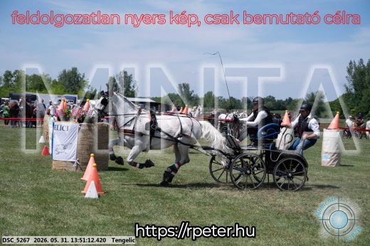 Mintakép 20260531-1186