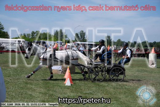 Mintakép 20260531-1187